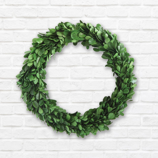 Round 9.75-inch wreath made of real preserved green boxwood leaves on a white background.