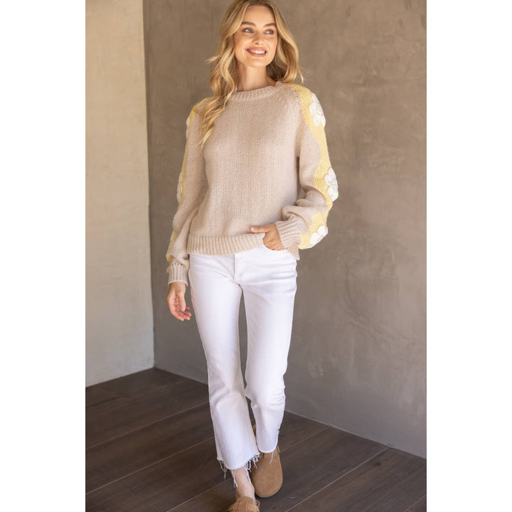 Floral Embroidered Long Sleeve Knit Sweater
