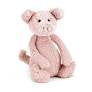 Bashful Pig