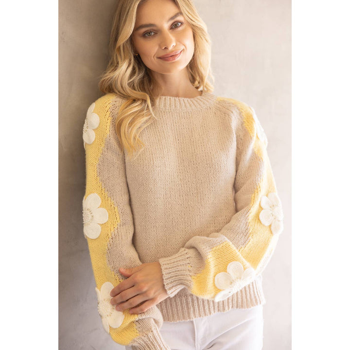 Floral Embroidered Long Sleeve Knit Sweater