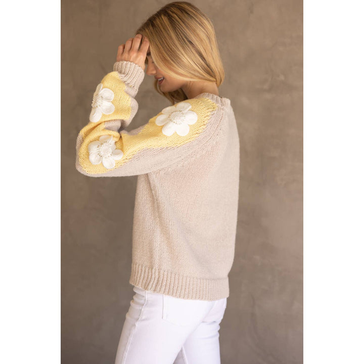 Floral Embroidered Long Sleeve Knit Sweater
