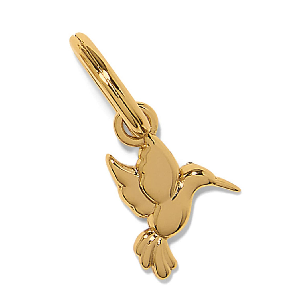 Brighton - Enchanting Gem Hummingbird Charm