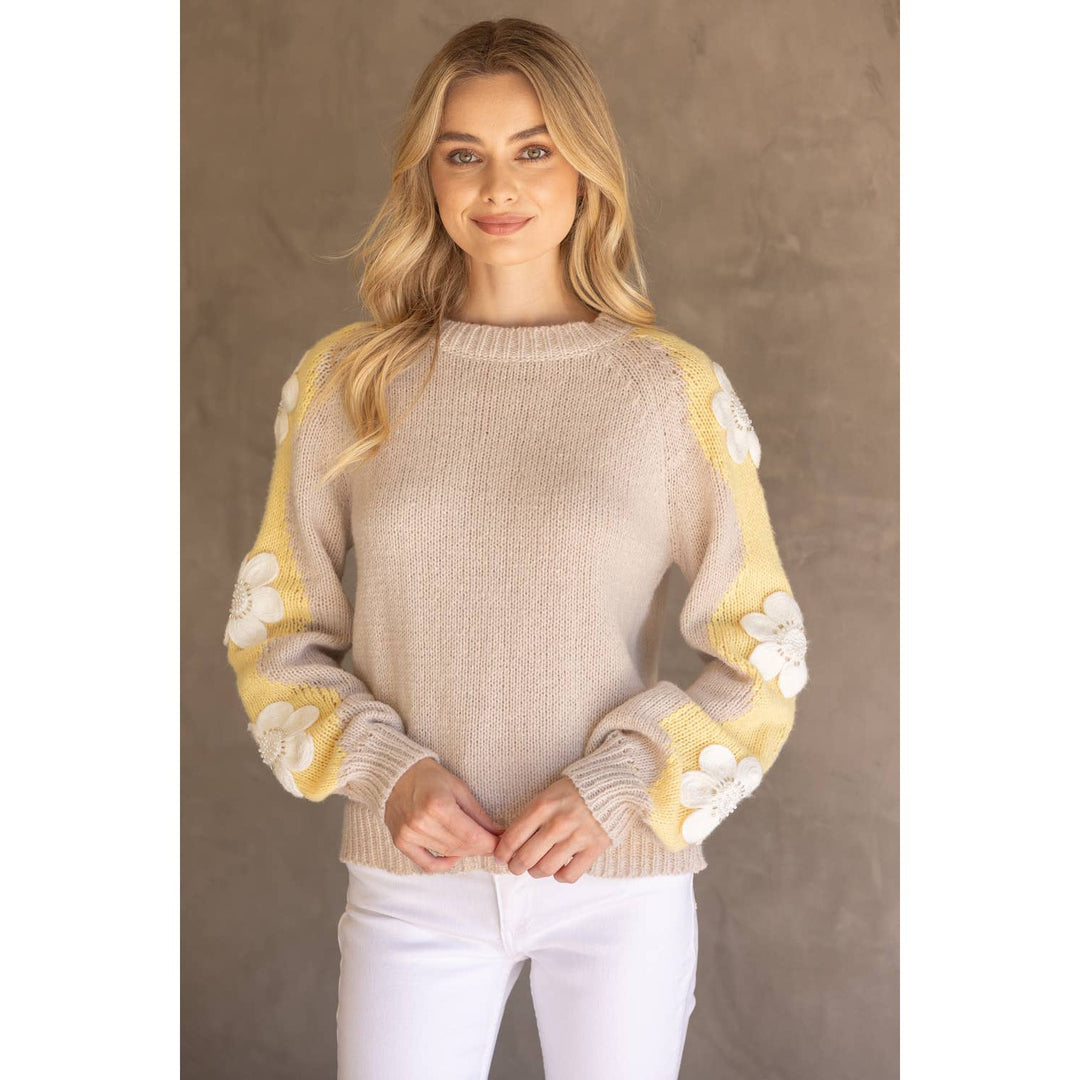 Floral Embroidered Long Sleeve Knit Sweater