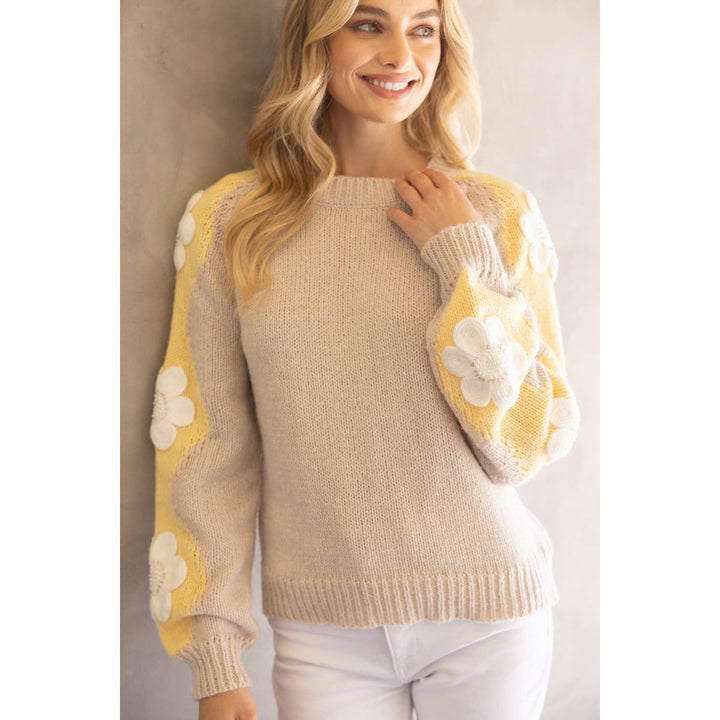 Floral Embroidered Long Sleeve Knit Sweater