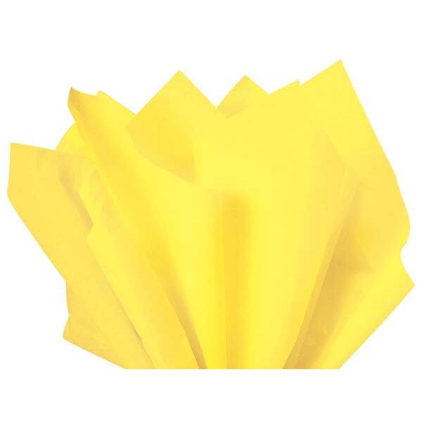 Color Tissue Paper 20X30" 24 Sheet Pack