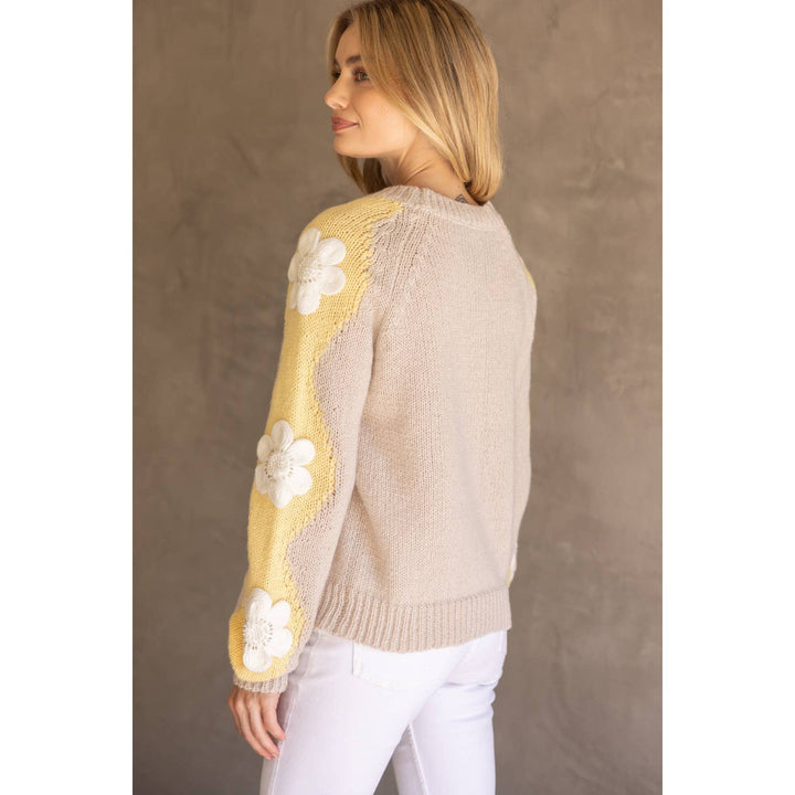 Floral Embroidered Long Sleeve Knit Sweater