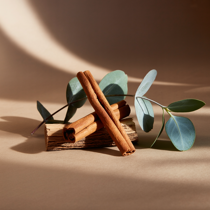 Cinnamon sticks and eucalyptus leaves styled beside the Pura Balsam &amp; Cedar smart vial by Illume