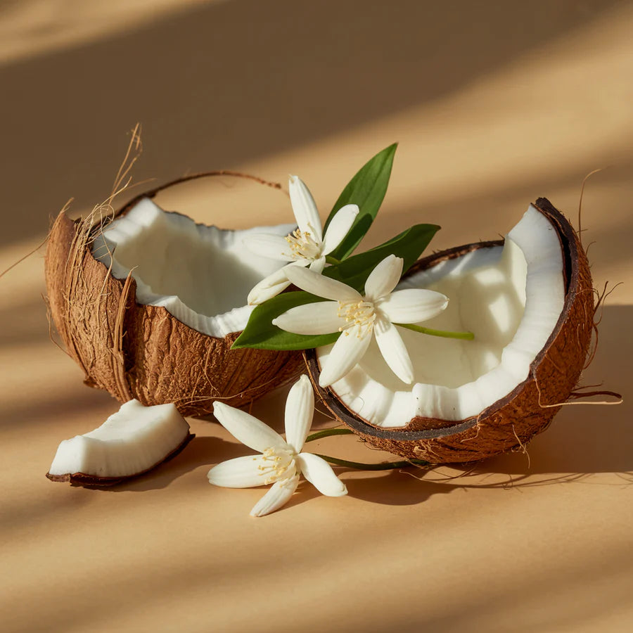 Pura Coconut Calm - Smart Vial (Becki Owens)