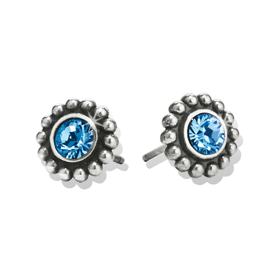 Twinkle Mini Post Earrings