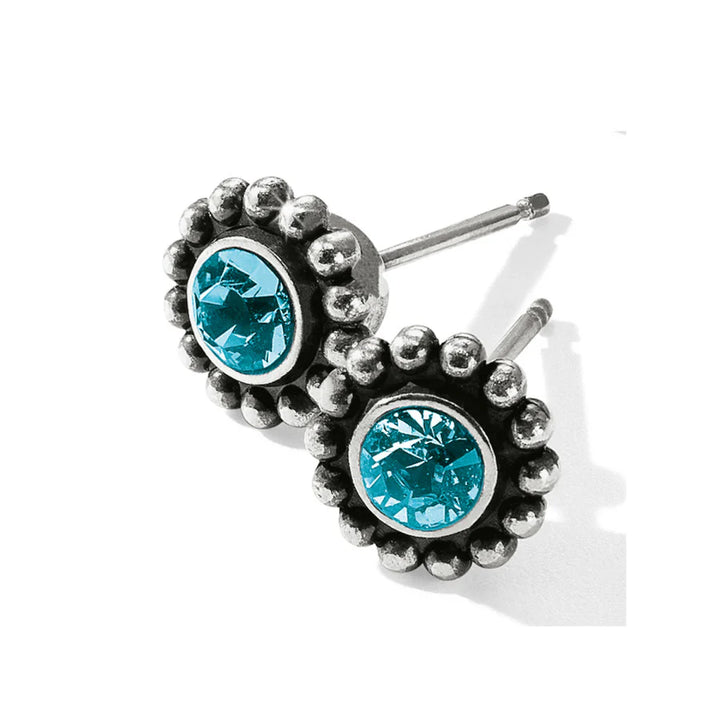 Twinkle Mini Post Earrings