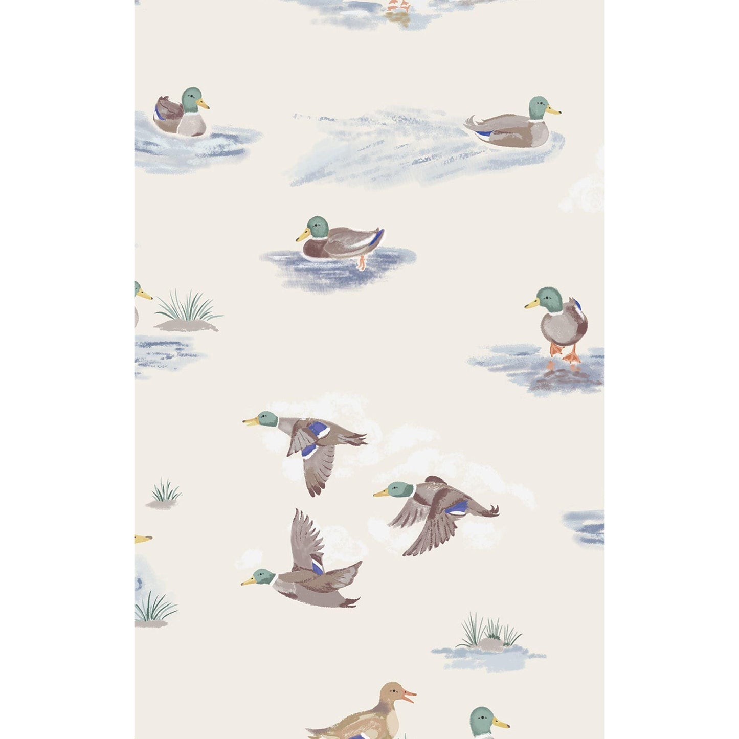 Migrating Mallards - Romper w/Contrast Sleeve