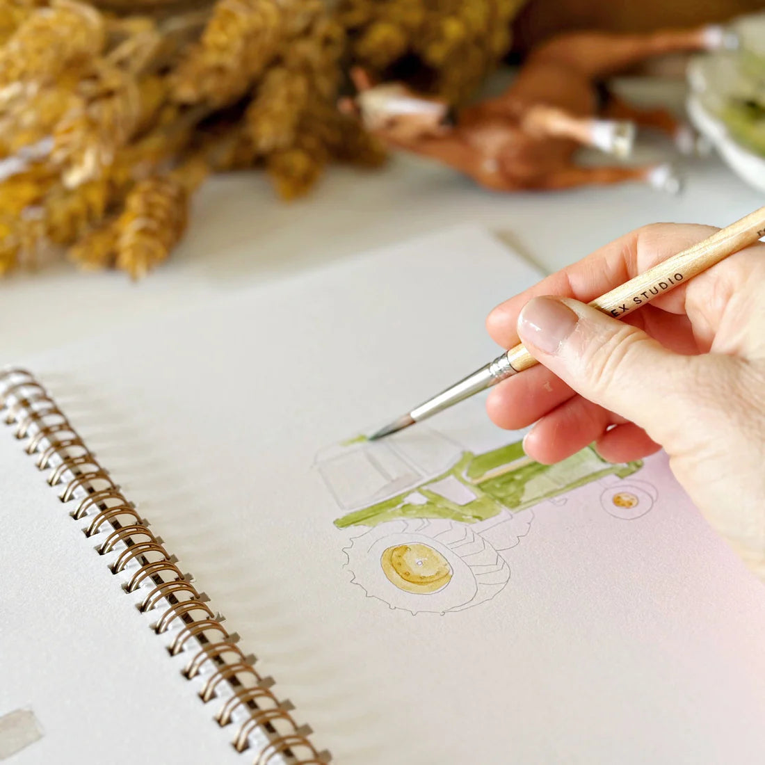 emily lex Farm Watercolor Workbook